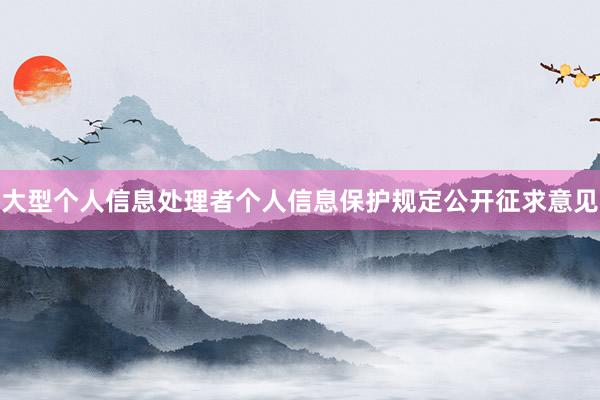 大型个人信息处理者个人信息保护规定公开征求意见