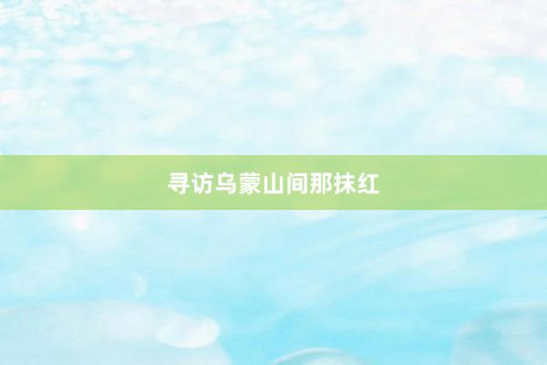 寻访乌蒙山间那抹红