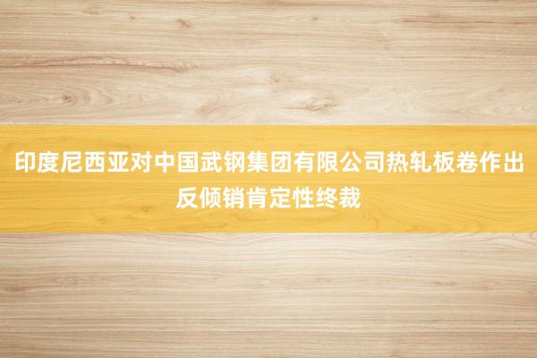 印度尼西亚对中国武钢集团有限公司热轧板卷作出反倾销肯定性终裁