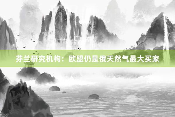 芬兰研究机构：欧盟仍是俄天然气最大买家
