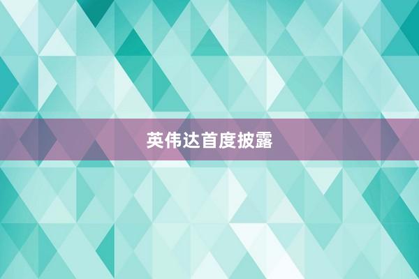 英伟达首度披露