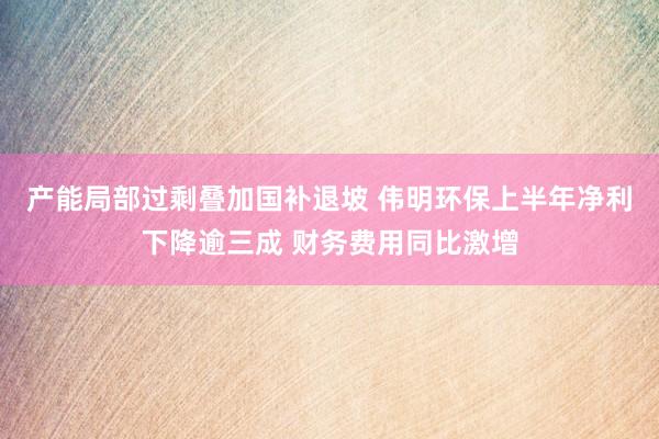 产能局部过剩叠加国补退坡 伟明环保上半年净利下降逾三成 财务费用同比激增