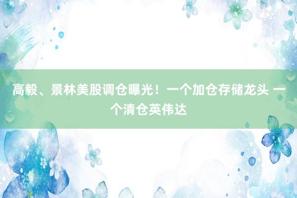 高毅、景林美股调仓曝光！一个加仓存储龙头 一个清仓英伟达