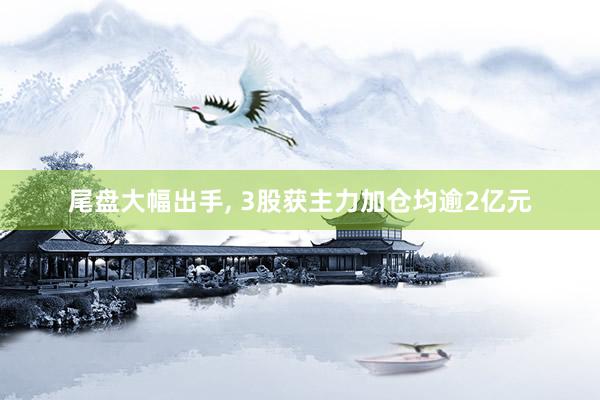 尾盘大幅出手, 3股获主力加仓均逾2亿元