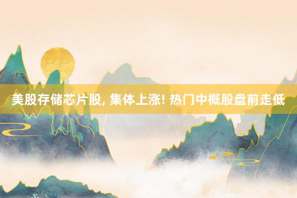 美股存储芯片股, 集体上涨! 热门中概股盘前走低