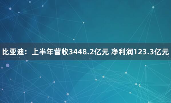 比亚迪：上半年营收3448.2亿元 净利润123.3亿元