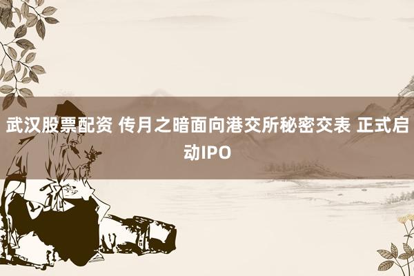 武汉股票配资 传月之暗面向港交所秘密交表 正式启动IPO