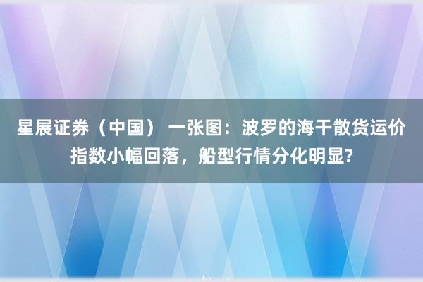 星展证券（中国） 一张图：波罗的海干散货运价指数小幅回落，船型行情分化明显?