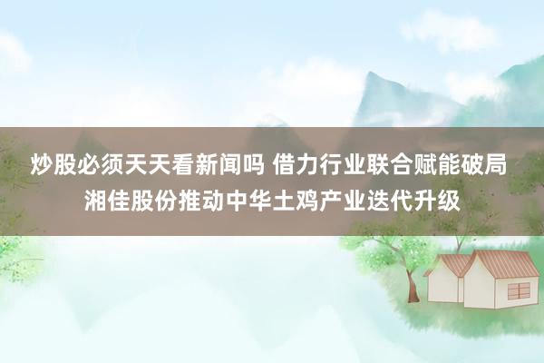 炒股必须天天看新闻吗 借力行业联合赋能破局 湘佳股份推动中华土鸡产业迭代升级