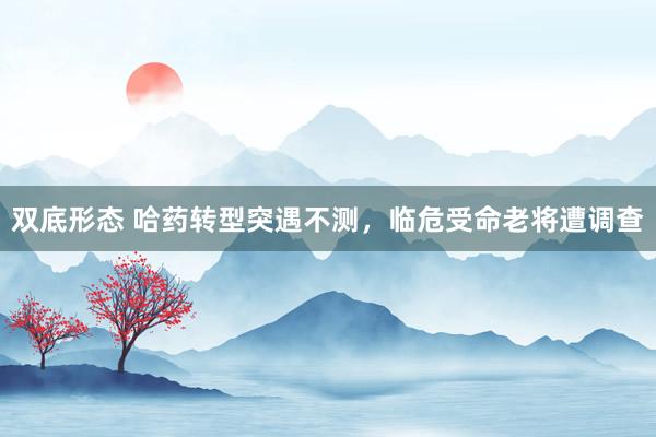 双底形态 哈药转型突遇不测，临危受命老将遭调查