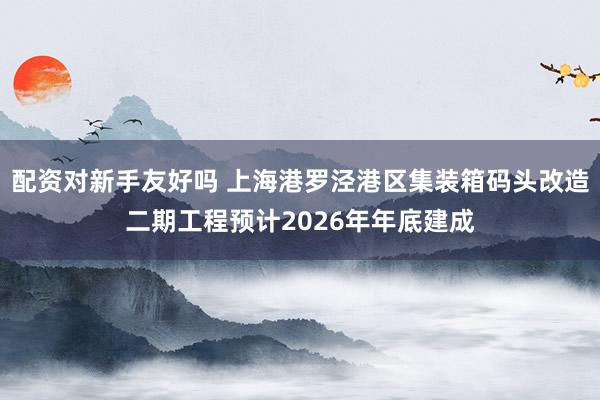 配资对新手友好吗 上海港罗泾港区集装箱码头改造二期工程预计2026年年底建成