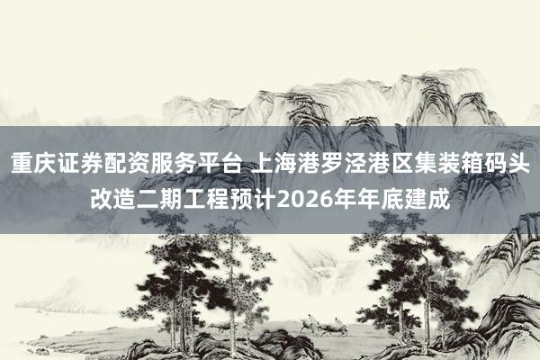 重庆证券配资服务平台 上海港罗泾港区集装箱码头改造二期工程预计2026年年底建成