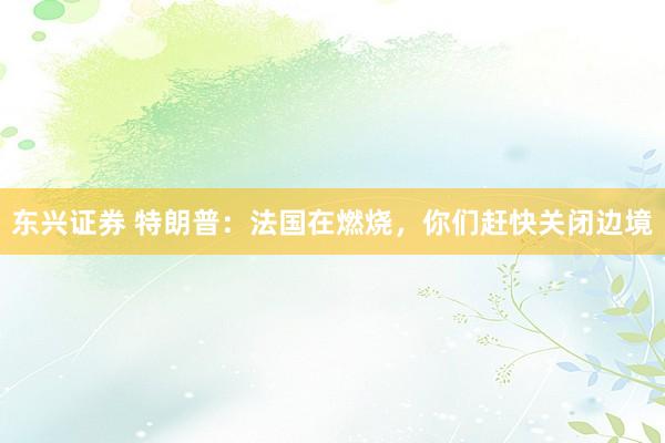 东兴证券 特朗普：法国在燃烧，你们赶快关闭边境